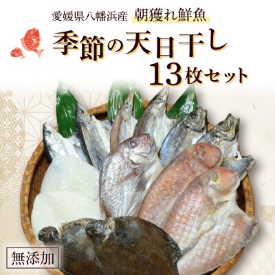 無添加・天日干しピチピチ朝獲れ鮮魚の一夜干し13枚セット【H26-4】