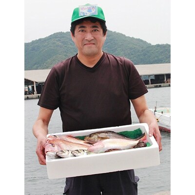 無添加・天日干しピチピチ朝獲れ鮮魚の一夜干し13枚セット【H26-4】