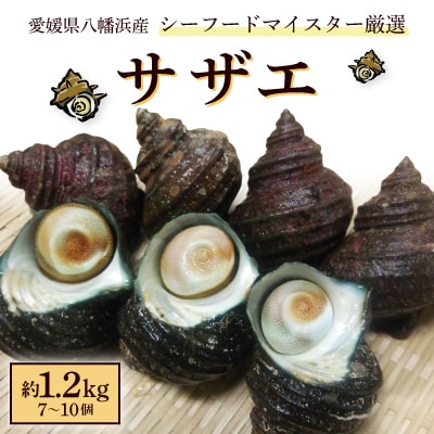 シーフードマイスター厳選　活きサザエ　約1.2kg【C26-9】