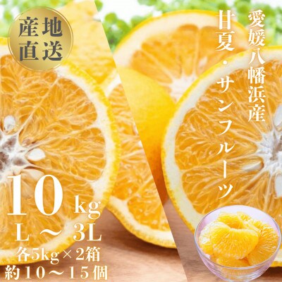 甘夏&サンフルーツ各5kg【D20-10】