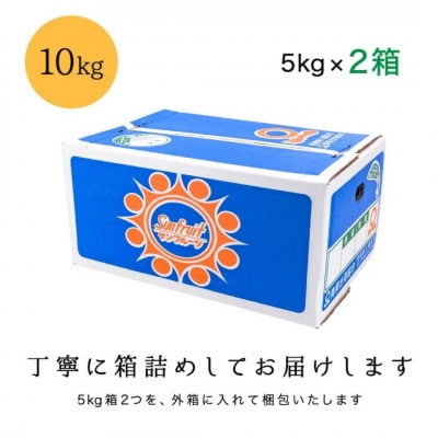 甘夏&サンフルーツ各5kg【D20-10】