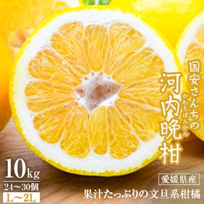 国安さんちの河内晩柑10kg【D20-11】