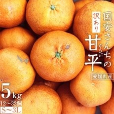 国安さんちの甘平(かんぺい)5kg【訳あり】【C20-17】 | ふるさと納税のお礼品