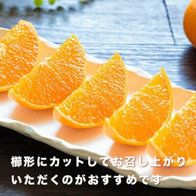 ＼みかんの大トロ/糖度12.0以上 酸1.4以下 糖酸選別品 愛媛セトカ 3kg【D20-7】
