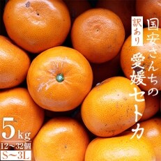 国安さんちの愛媛セトカ5kg【訳あり】【C20-14】