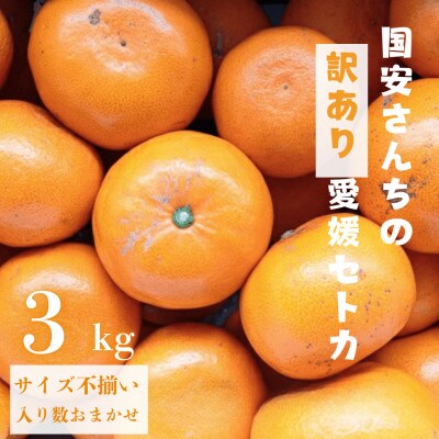 ＼みかんの大トロ/糖度12.0以上酸1.4以下 糖酸選別品 訳あり 愛媛セトカ3kg【C20-14】