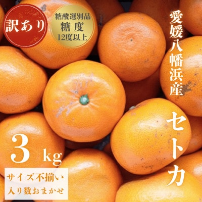 ＼みかんの大トロ/糖度12.0以上酸1.4以下 糖酸選別品 訳あり 愛媛セトカ3kg【C20-14】