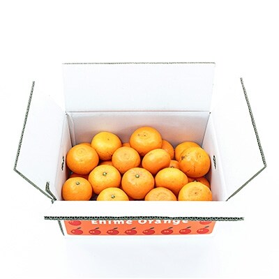 国安さんちの愛媛セトカ5kg【訳あり】【C20-14】