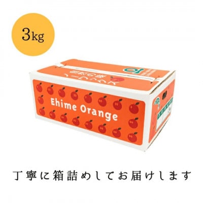 ＼みかんの大トロ/糖度12.0以上酸1.4以下 糖酸選別品 訳あり 愛媛セトカ3kg【C20-14】