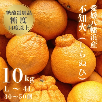 ＼糖度14.0以上酸1.4以下/糖酸選別品 愛媛産 不知火 (しらぬひ) 10kg【D20-8】