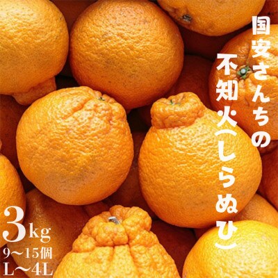 ＼糖度14.0以上 酸1.4以下/糖酸選別品 不知火 (しらぬひ) 3kg【C20-15】