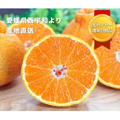 ＼糖度14.0以上 酸1.4以下/糖酸選別品 不知火 (しらぬひ) 3kg【C20-15】
