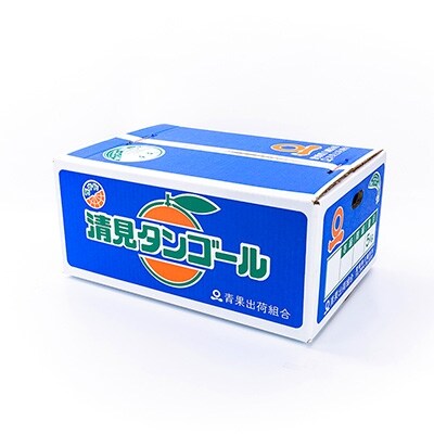 国安さんちの清見オレンジ5kg【C20-18】