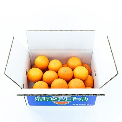国安さんちの清見オレンジ5kg【C20-18】