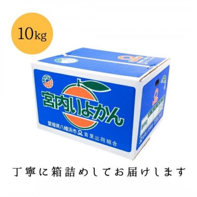 【爽やか香りと柔らかジューシーな果肉】愛媛八幡浜産 宮内伊予柑 10kg【D20-6】