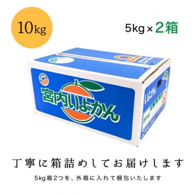 【爽やか香りと柔らかジューシーな果肉】愛媛八幡浜産 訳あり 宮内伊予柑 10kg【C20-16】