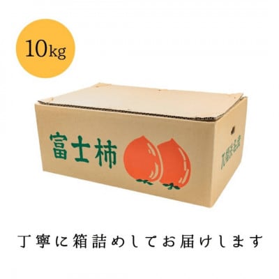 《八幡浜特産 国内最大級の 柿》 富士柿 10kg【D20-2】