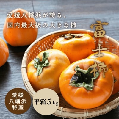 《八幡浜特産 国内最大級の 柿》 富士柿 5kg 種無し【C20-21】