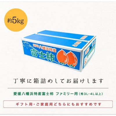 《八幡浜特産 国内最大級の 柿》 富士柿 5kg 種無し【C20-21】