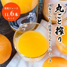 丸ごと搾り国安さんちの清見ストレートジュース(1L×6本セット)【C20-25】