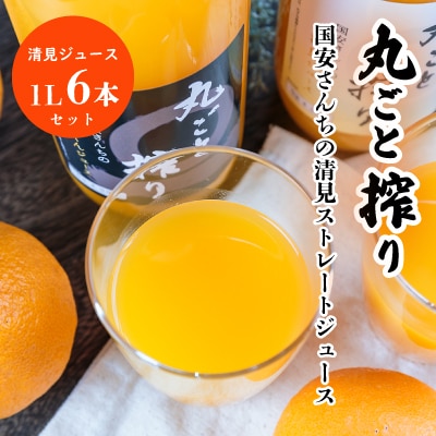 丸ごと搾り国安さんちの清見ストレートジュース(1L×6本セット)【C20-25】
