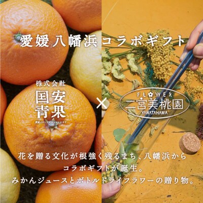 みかん屋さんと生花店さんのこだわりギフトセット【C20-26】