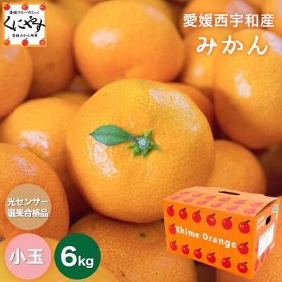 糖度11.0以上 国安さんちの厳選小玉みかん 6kg(3kg×2箱)【C20-29】