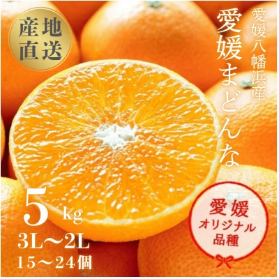 産地直送 国安さんちの愛媛まどんな 贈答用 約5kg 【F20-31】