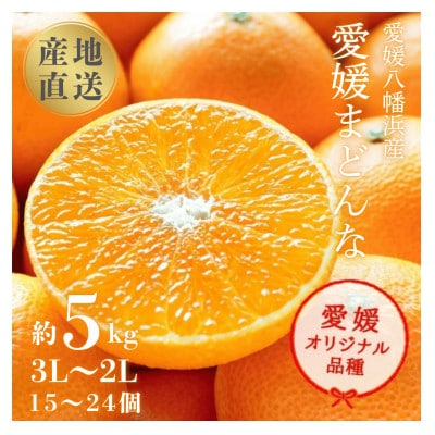 産地直送 国安さんちの愛媛まどんな 贈答用 約5kg 【H20-31】