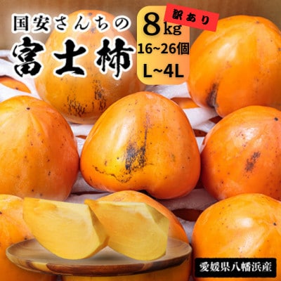 国安さんちの富士柿8kg【訳あり】【C20-32】