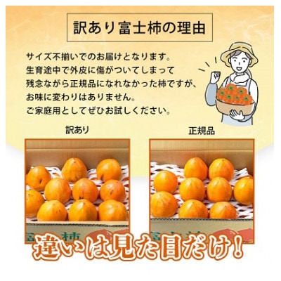 国安さんちの富士柿8kg【訳あり】【C20-32】