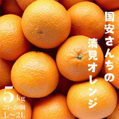 【まるで食べるジュース!越冬完熟品】愛媛産 清見オレンジ 5kg【D20-38】