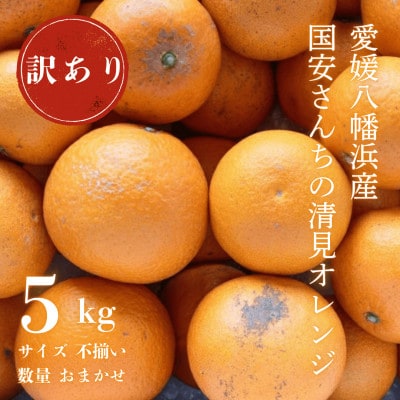 【まるで食べるジュース!越冬完熟品】愛媛産 訳あり 清見オレンジ 5kg【C20-33】