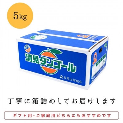 【まるで食べるジュース!越冬完熟品】愛媛産 訳あり 清見オレンジ 5kg【C20-33】