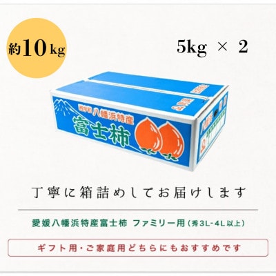 《八幡浜特産 国内最大級の 柿》 富士柿 10kg (5kg×2箱)種無し【H20-37】