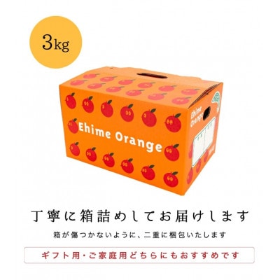 【創業85年 親子4代 愛媛みかん 一筋】愛媛八幡浜産 極早生みかん 3kg【C20-42】