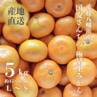 【創業85年 親子4代 愛媛みかん 一筋】愛媛八幡浜産 極早生みかん 5kg【C20-43】