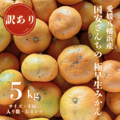 【創業85年 親子4代 愛媛みかん 一筋】愛媛八幡浜産 訳あり 極早生みかん 5kg【C20-46】
