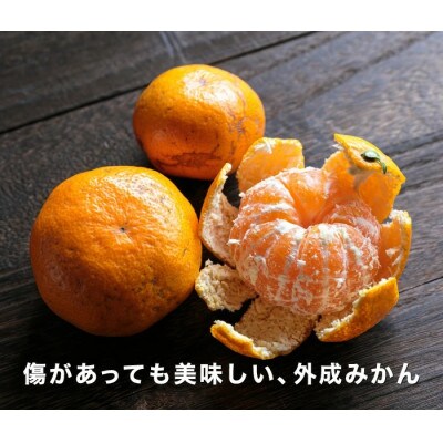 【創業85年 親子4代 愛媛みかん 一筋】愛媛八幡浜産 訳あり 極早生みかん 5kg【C20-46】
