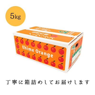 【創業85年 親子4代 愛媛みかん 一筋】愛媛八幡浜産 訳あり 極早生みかん 5kg【C20-46】