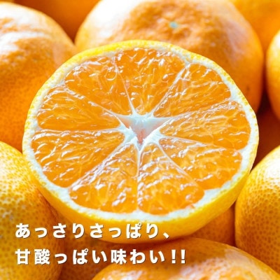 【糖度11度以上 酸1.0以下 糖酸選別品】愛媛みかん 5kg【D20-49】