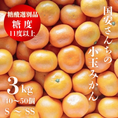 【糖度11度以上 酸1.0以下 糖酸選別品】小玉 愛媛みかん 3kg【C20-57】