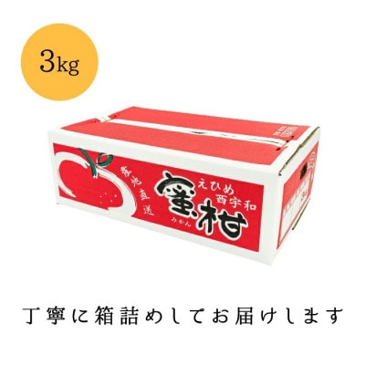 【創業85年 親子4代 愛媛みかん 一筋】訳あり 愛媛みかん 3kg【C20-50】
