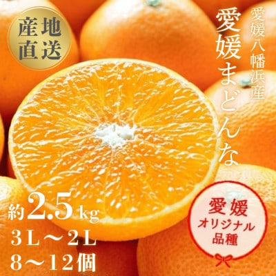 【まるでゼリー!ぷるぷる食感 冬ギフトに一番人気!】愛媛まどんな 贈答用約2.5kg【F20-52】