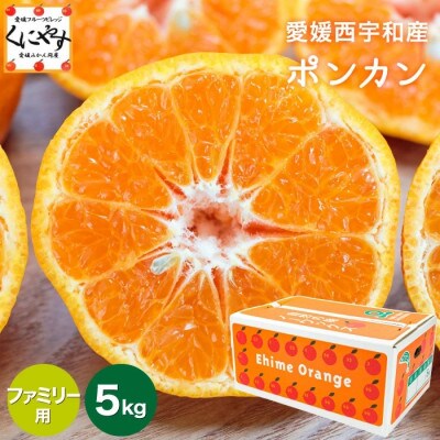 【南国を感じさせる独特の香り】愛媛ポンカン 5kg【D20-53】