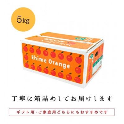 【南国を感じさせる独特の香り】愛媛ポンカン 5kg【D20-53】