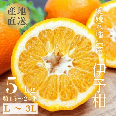 【爽やか香りと柔らかジューシーな果肉】愛媛八幡浜産 宮内伊予柑 5kg【C20-55】