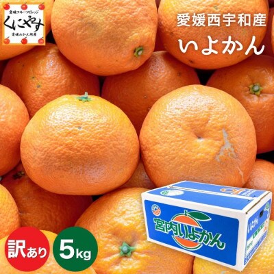 【爽やか香りと柔らかジューシーな果肉】愛媛八幡浜産 訳あり 宮内伊予柑 5kg【C20-56】