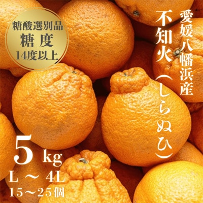 【糖度14.0以上酸1.4以下】糖酸選別品 愛媛産 不知火 (しらぬひ) 5kg【D20-61】