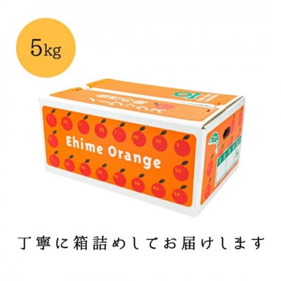 【糖度14.0以上酸1.4以下】糖酸選別品 愛媛産 不知火 (しらぬひ) 5kg【D20-61】